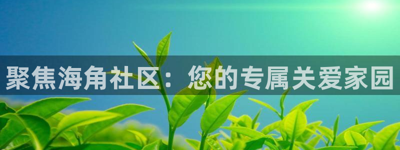hj6b6海角社区：聚焦海角社区：您的专属关爱家园