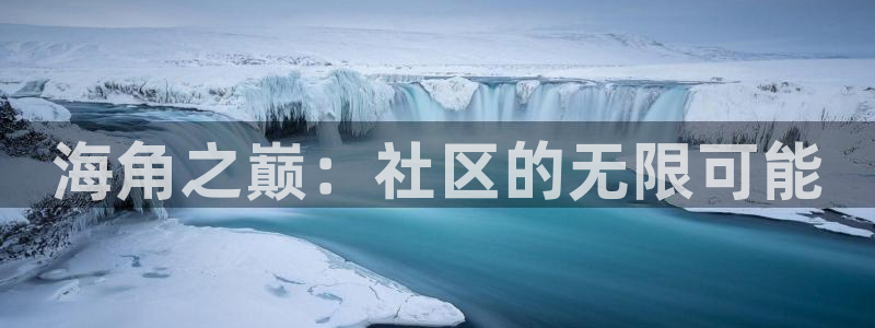 海角社区投稿：海角之巅：社区的无限可能
