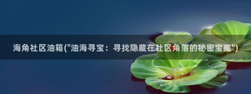 hj海角社区小灵灵：海角社区油箱(\