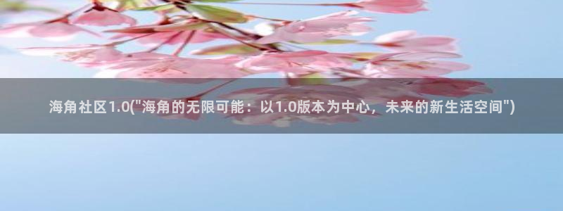 海角社区网站如何私信：海角社区1.0(\