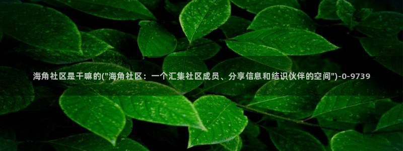 求海角社区账号密码：海角社区是干嘛的(\