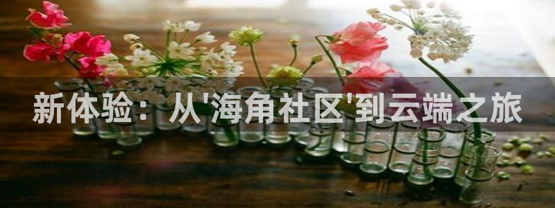 吃瓜海角社区app论坛：新体验：从\'海角社区\'到云端之旅