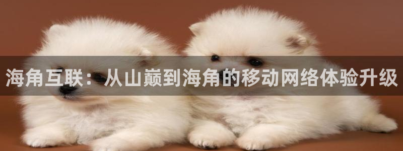 海角社区无法登录：海角互联：从山巅到海角的移动网络体验升级